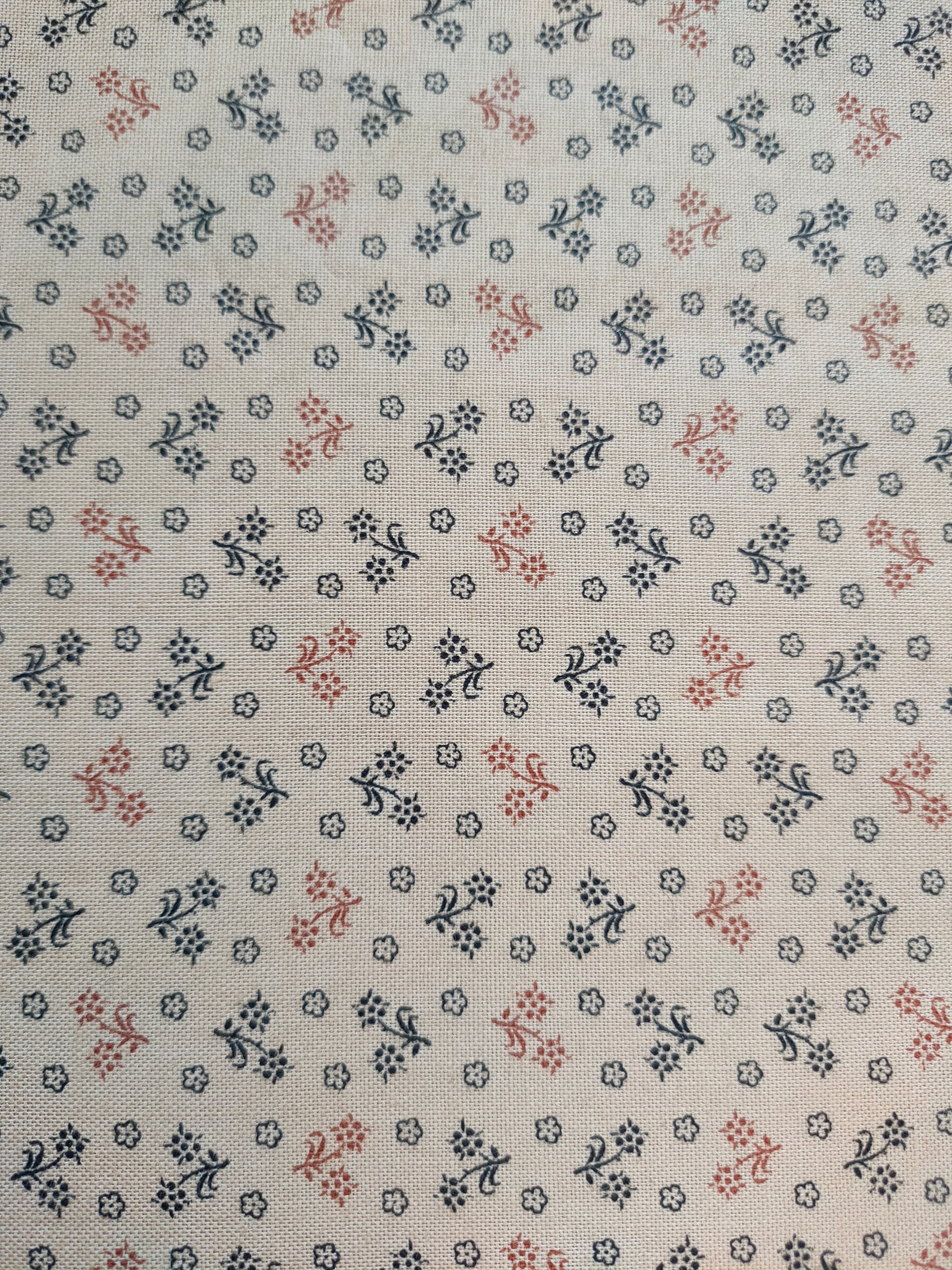 Andover Fabrics Beige Collection BA