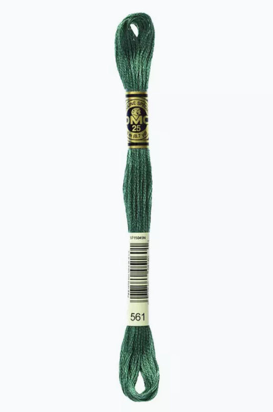 DMC Embroidery Thread Cypress Green 561