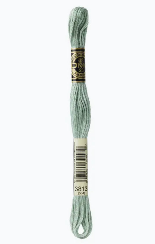 DMC Embroidery Thread Lichen Green 3813