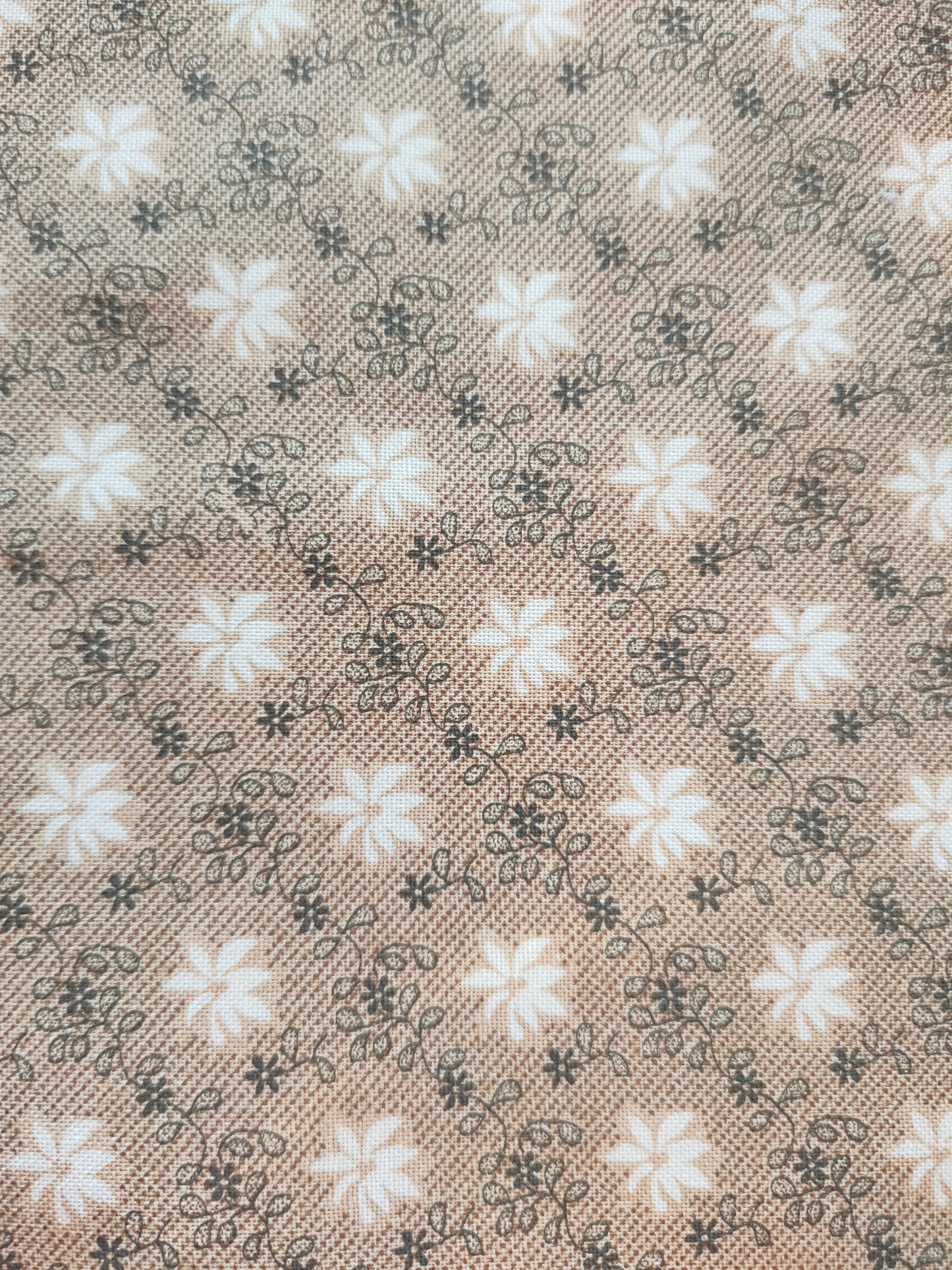 Andover Fabrics Beige Collection BQ