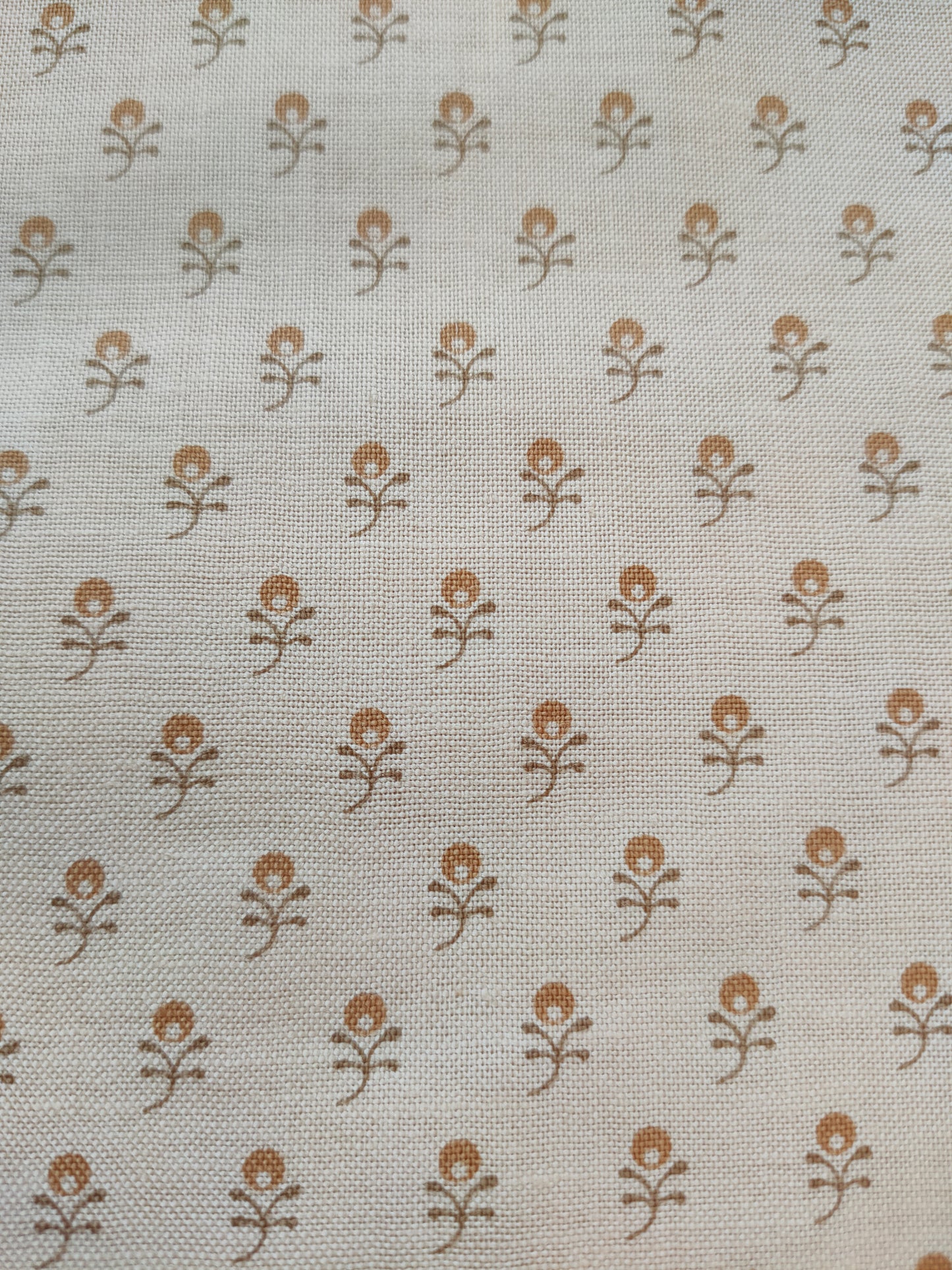 Andover Fabrics Beige Collection BL