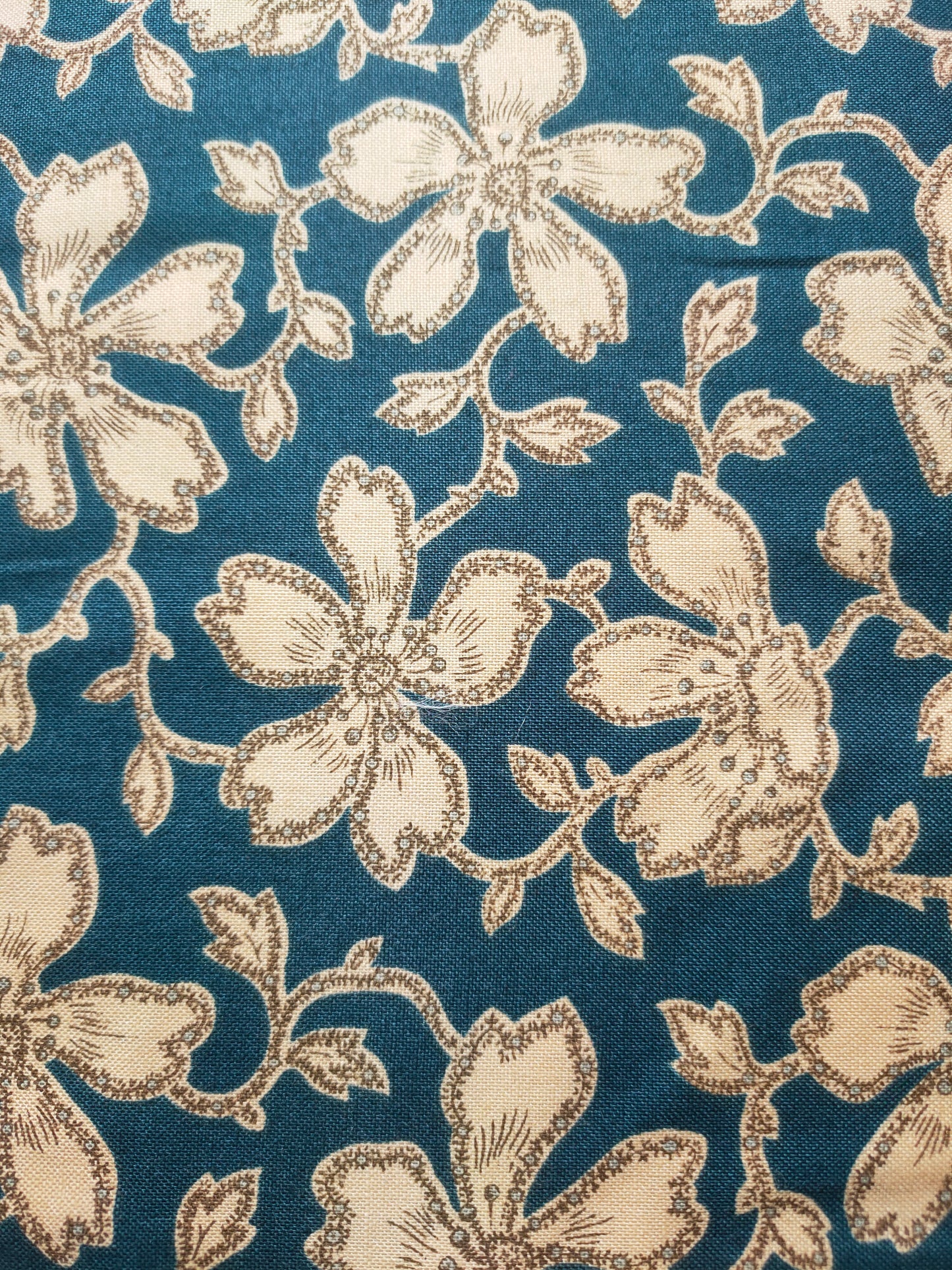 Andover Fabrics Beige Flower Blue