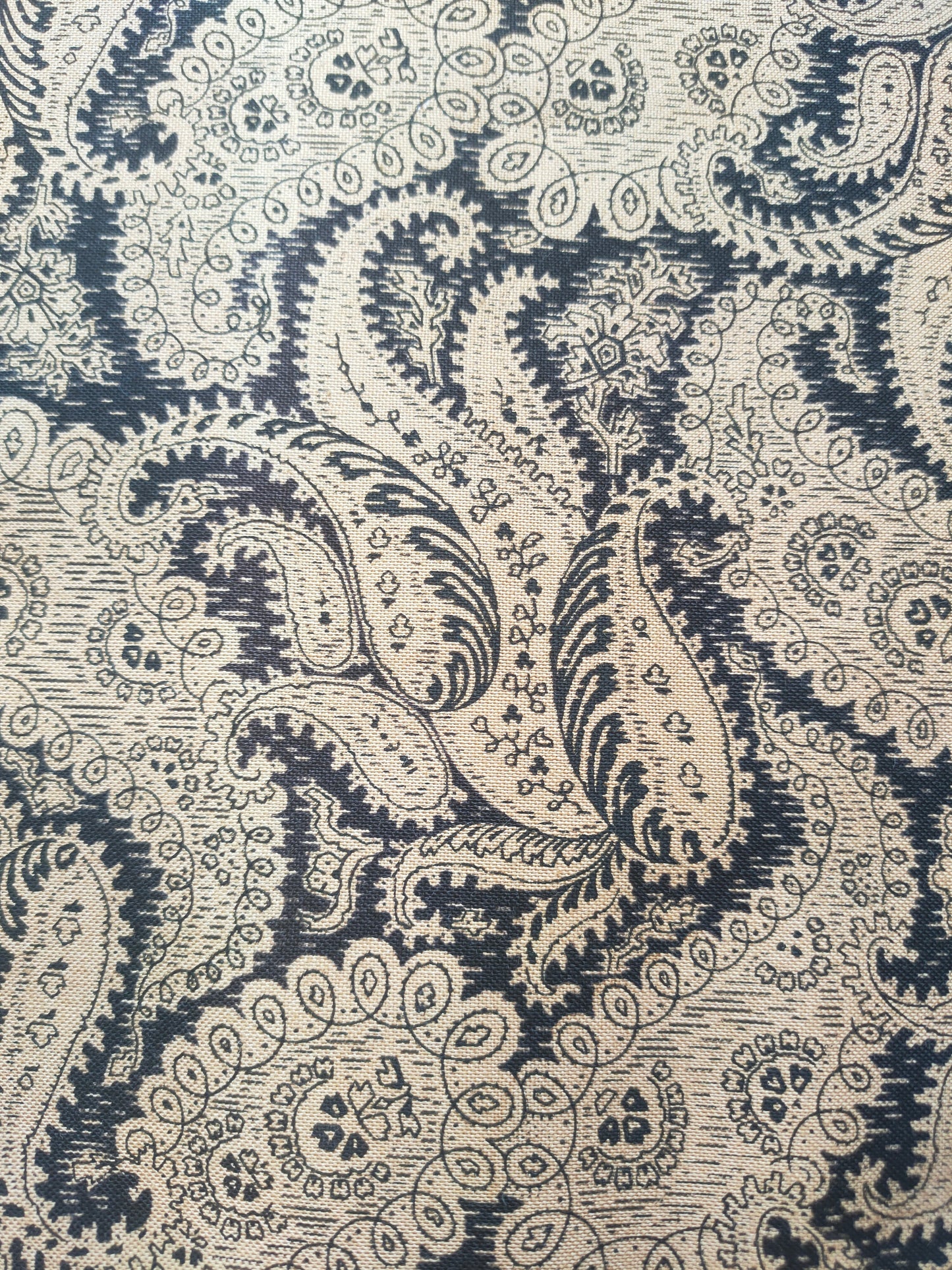 Andover Fabrics Paisley Black